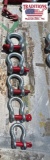 Set of (5) Screw Pin Anchor Shackles