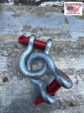 Set of (2) Screw Pin Anchor Shackles