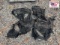 John Deere Gator Doors