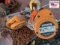 (2) 1.5 Ton Chain Hoist