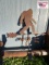 Bigfoot Weather Vane