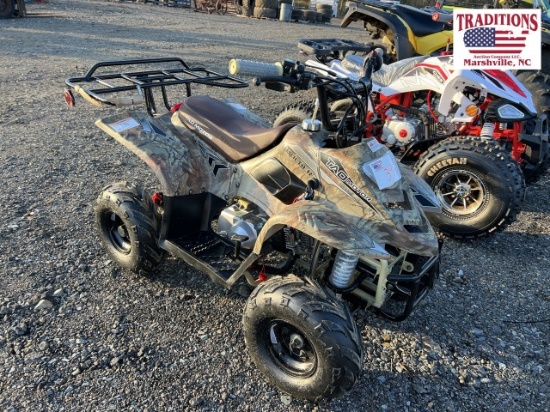 NEW TAO B110 4 Wheeler