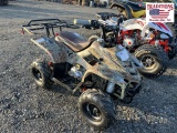 NEW TAO B110 4 Wheeler
