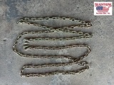 G70 Chain 5/16