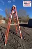 Louisville 8ft Ladder