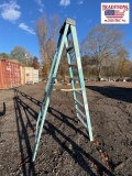 Werner 8ft Ladder