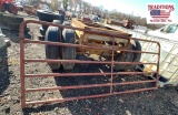 10ft Gate