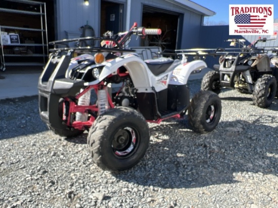 New TAO D125 4 Wheeler Pink & White