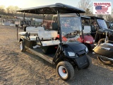 Electric Limo Golf Cart