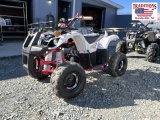 New TAO D125 4 Wheeler Pink & White