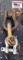 (4) Assorted Clevis