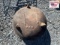 Wash Pot