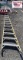 12ft Werner Ladder