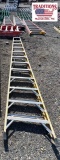 12ft Werner Ladder