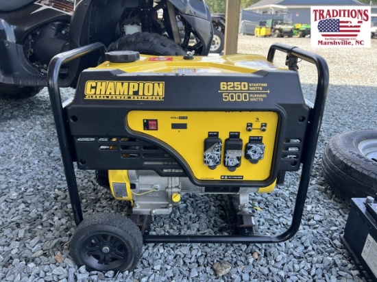 Champion Global Power Equipment Generator