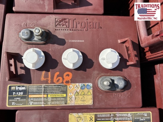 Trojan 6 Volt T-125 Deep Cycle Battery