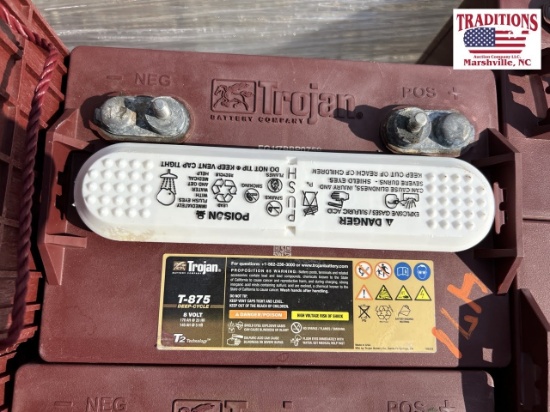 Trojan 8 Volt T-875 Deep Cycle Battery
