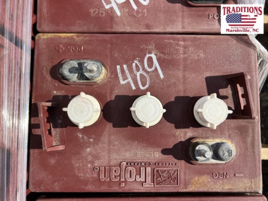 6 Volt Golf Cart Battery