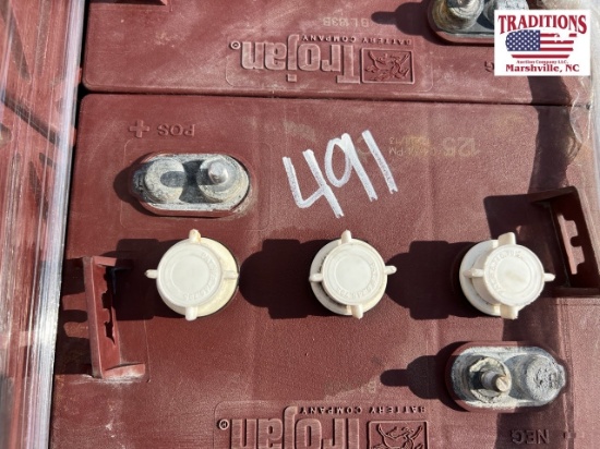 6 Volt Golf Cart Battery