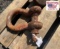 Clevis