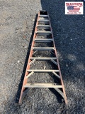 10ft Werner Ladder