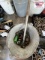 Mixed Lot: Ratchet and Sockets