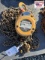 Harrington 1 Ton Chain Fall