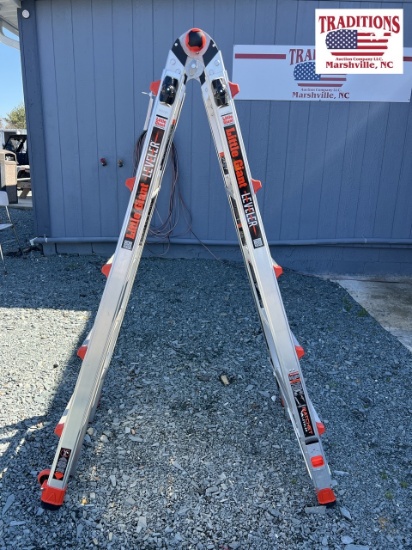 Little Giant Articulating Ladder