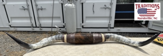 58" Cattle Horns