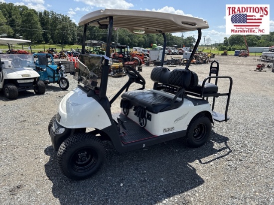 EZ Go RXV Golf Cart Gas