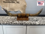 Cattle Horns - 33 Inches