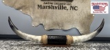 Cattle Horns 38