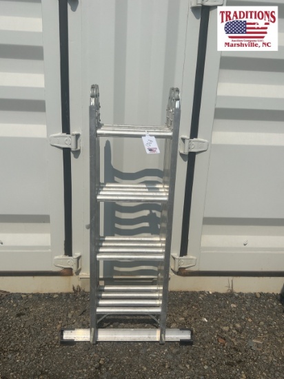 Werner Articulating Ladder