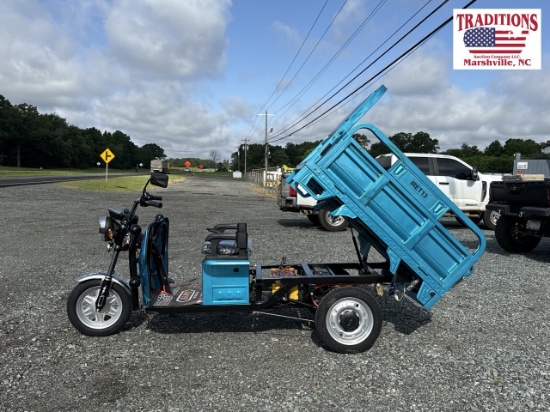IRET13 High-End Electric Tricycle
