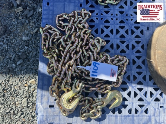 20ft G80 3/8" Chain