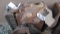 Case engine core
