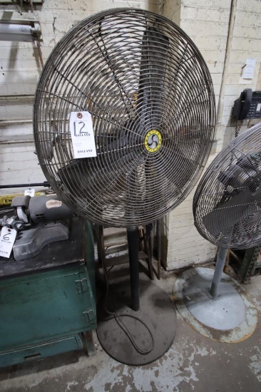 Pedestal Fan