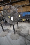 (2) Pedestal Fans