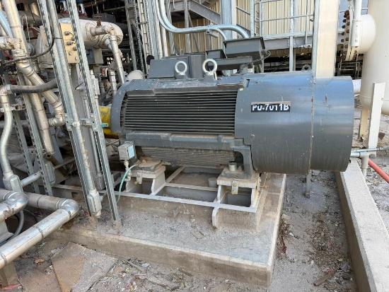 Feed Water Pump Skid