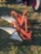 Plow