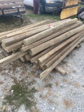 Post and landscape timbers