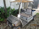 Carryall Golf Cart