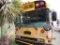 2002 Bluebird School Bus