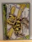 2016 Pokemon Rare Yanmega Break Card 8/114