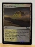 Magic the Gathering Common Holo Scoured Barrens