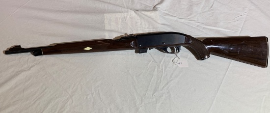 Remington Nylon 77 .22LR