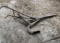 Antique horse drawn chisel plow