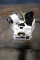 PRECISION DRILL BIT SHARPENER, DAREX V390