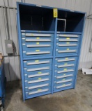 TOOL CABINET, LYON AURORA, 20-drawer (Note: contents not included) (two week delayed removal)