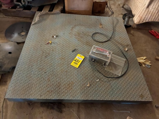 PLATFORM SCALE, w/ Defender 3000 XtremeW